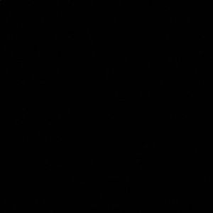 Meet your Posher, Lizzie